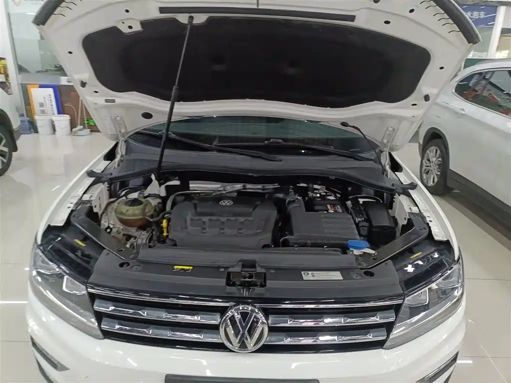 Volkswagen Tiguan L 2019 Facelift 330TSI Auto 2WD Smart Luxury China VI фото 20