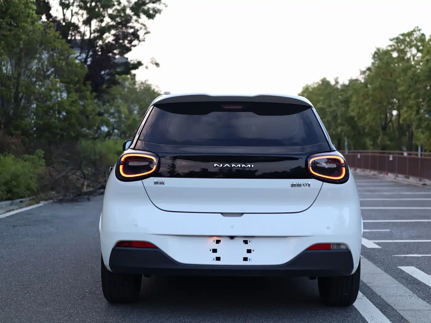 Фото 6 - Dongfeng Yipai Nano 01