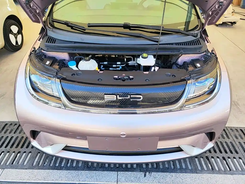 Фото 20 - BYD Dolphin