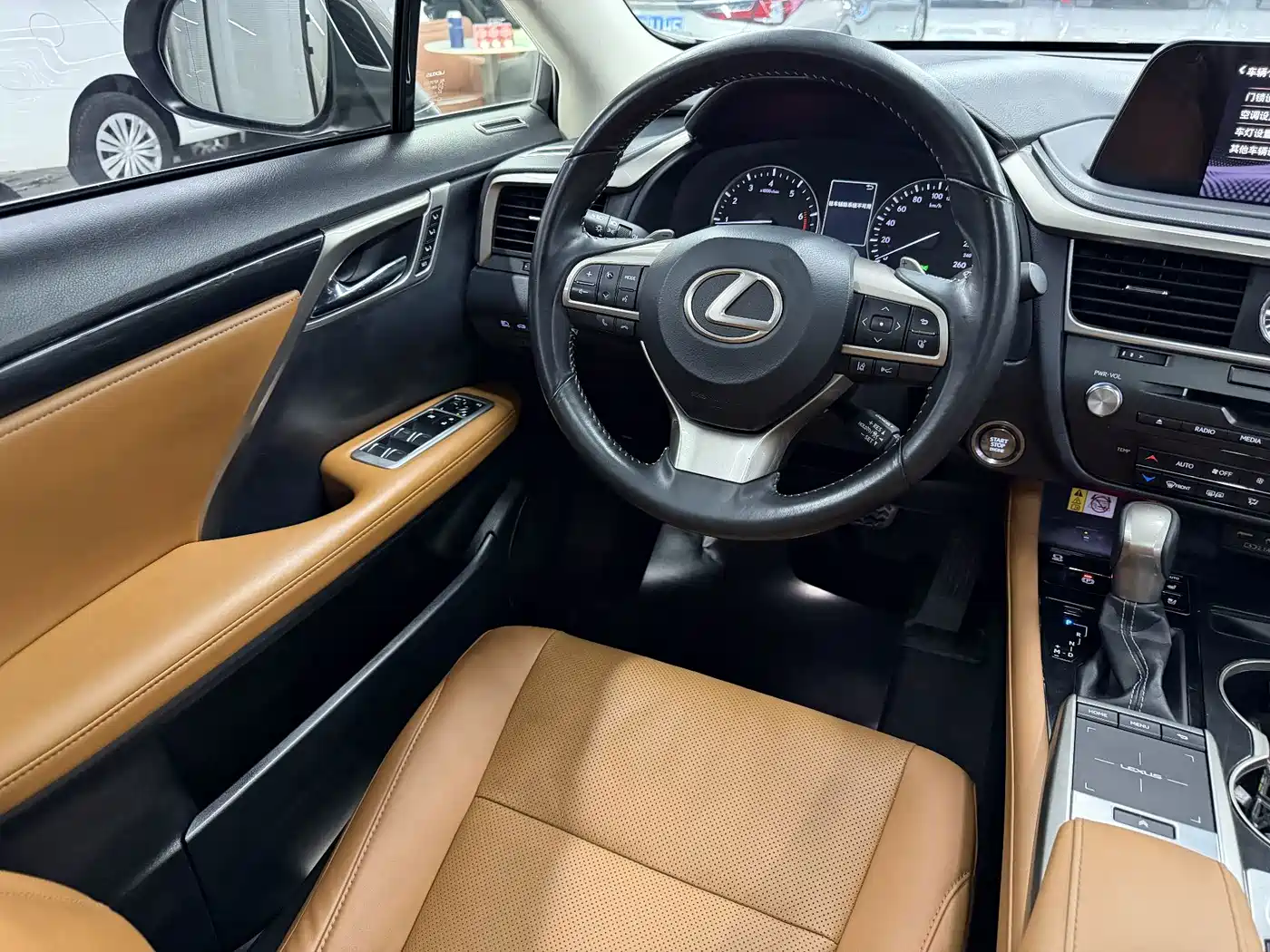Фото 10 - Lexus RX