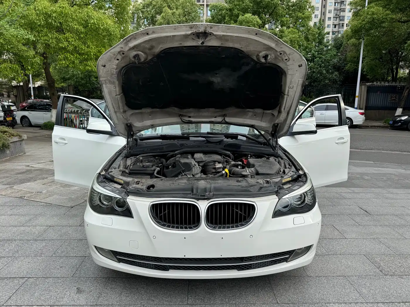 BMW 5 Series 2010 520Li Luxury фото 16