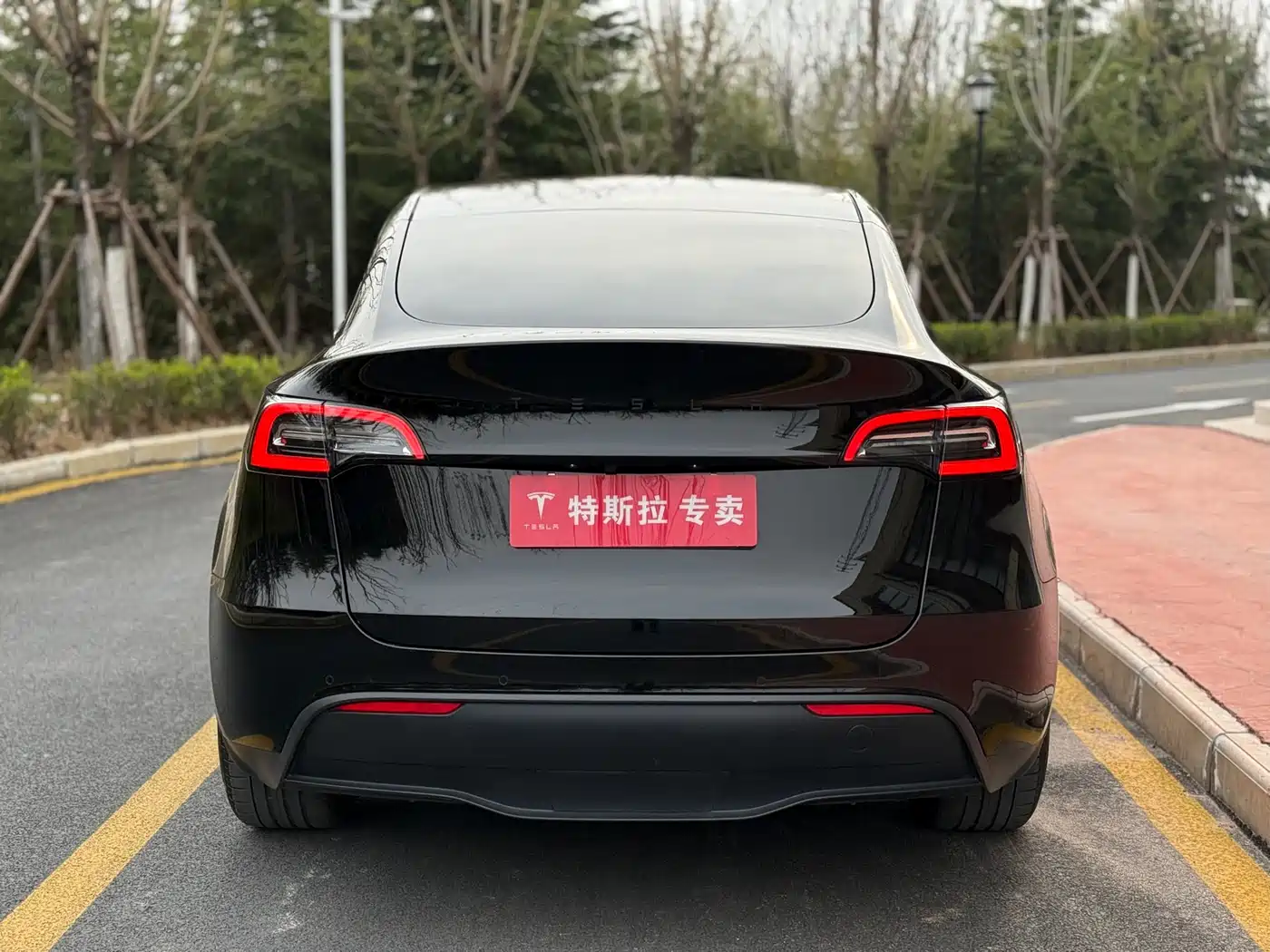TESLA MODEL Y