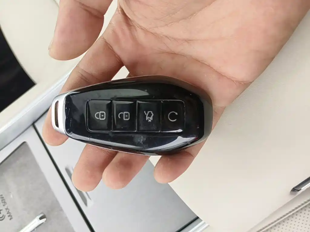 Denza N9 2025 2025 Flagship Model