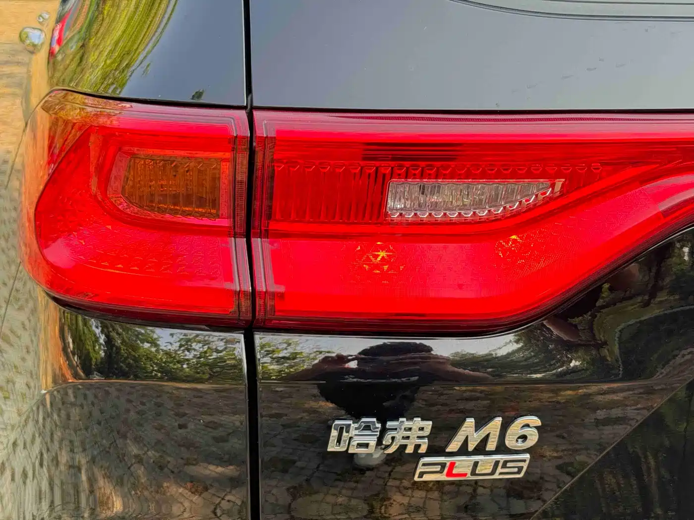 HAVAL M6