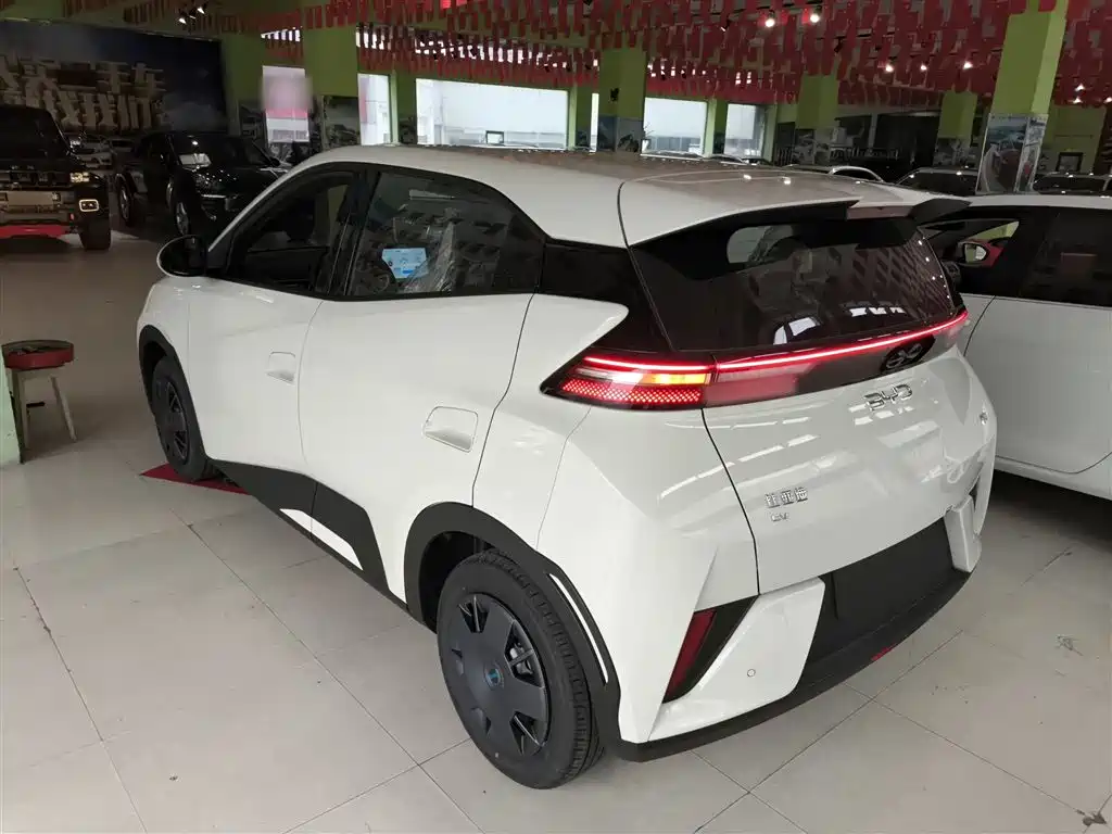 BYD Seagull 2025 Smart Drive Edition 305km Vitality Version фото 5