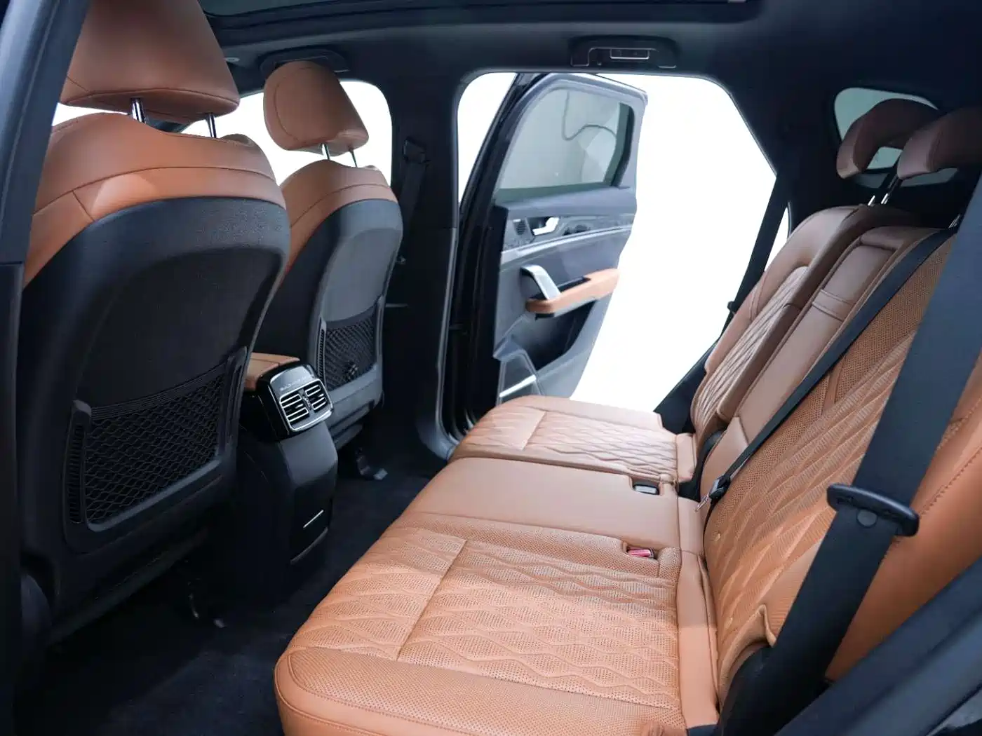 BYD Tang New Energy 2023 Model DM-i Champion Edition 112KM Honor фото 18