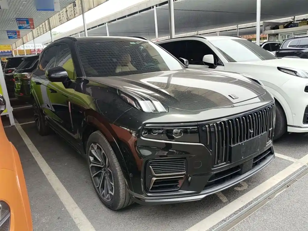 Lynk & Co 09 EM-P 2024 2.0TD EM-P AWD PRO 7-Seater фото 4