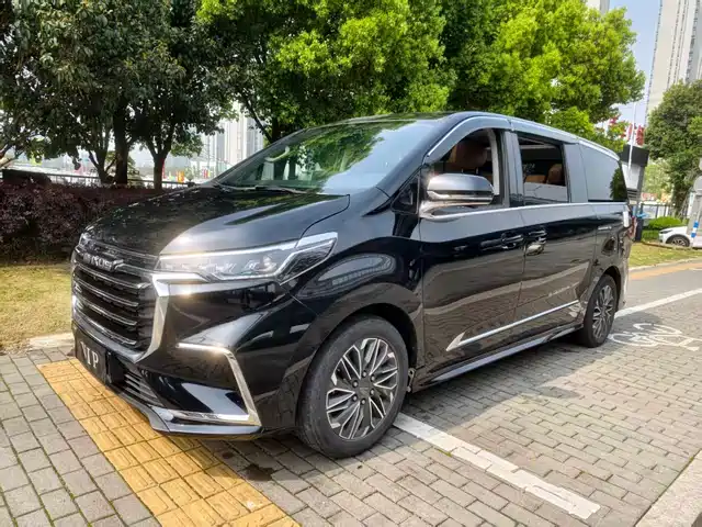  SAIC Maxus Maxus G20 2021 PLUS 2.0T Gasoline Automatic Premium Executive Edition