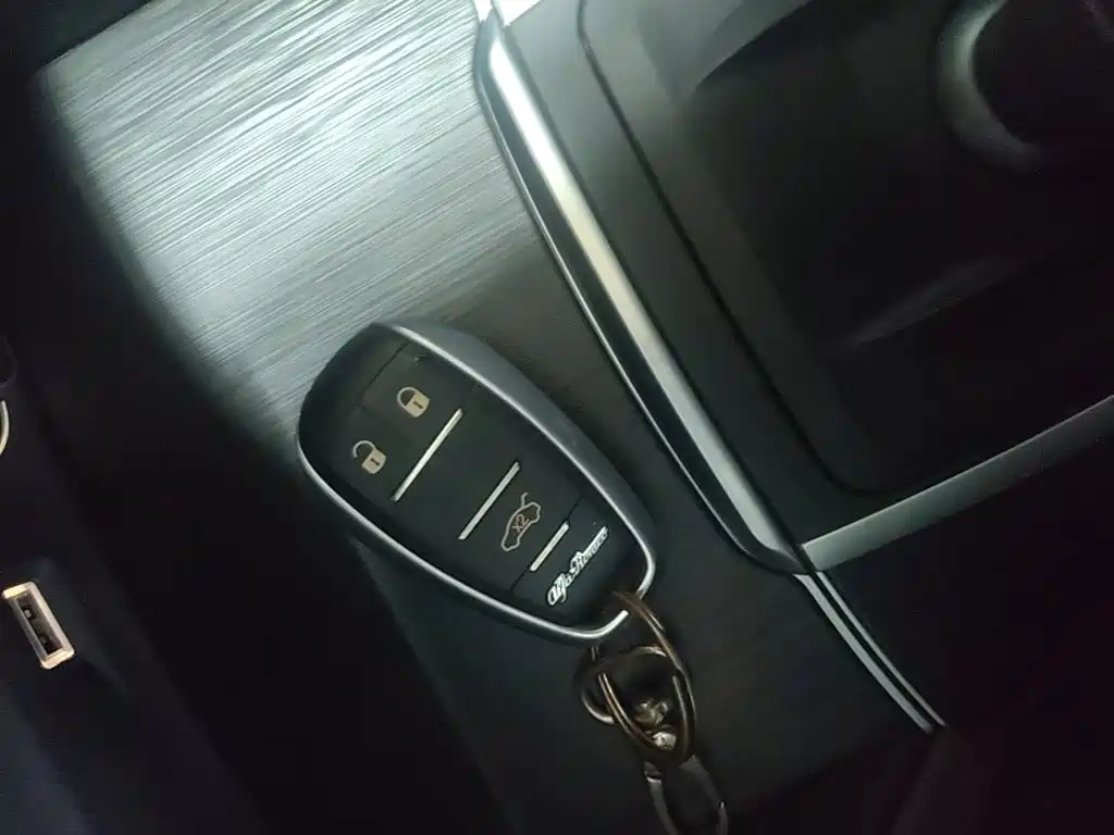 Alfa Romeo Stelvio 2019 2017 2.0T 280HP Luxury