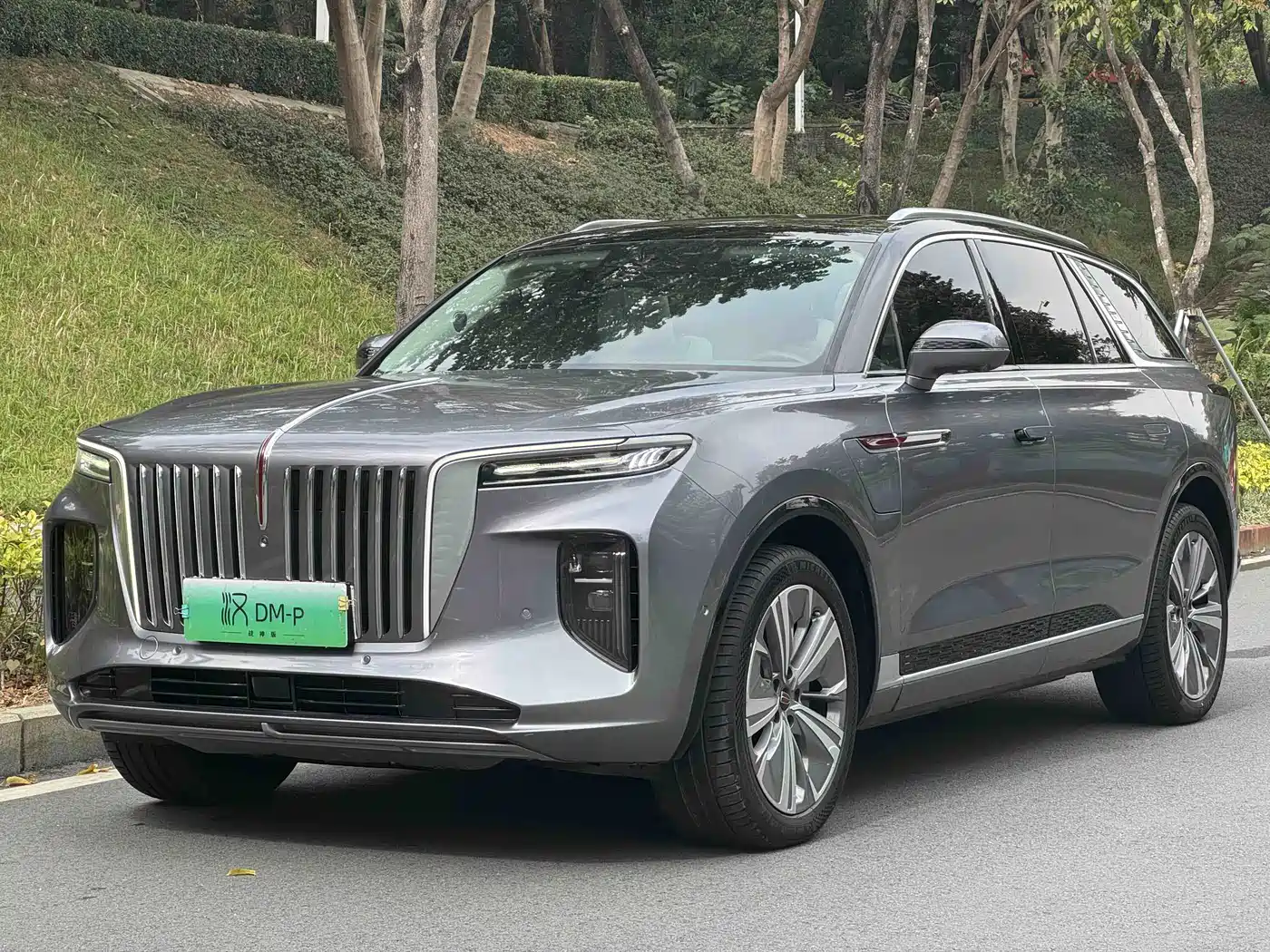 Hongqi E-HS9 2021