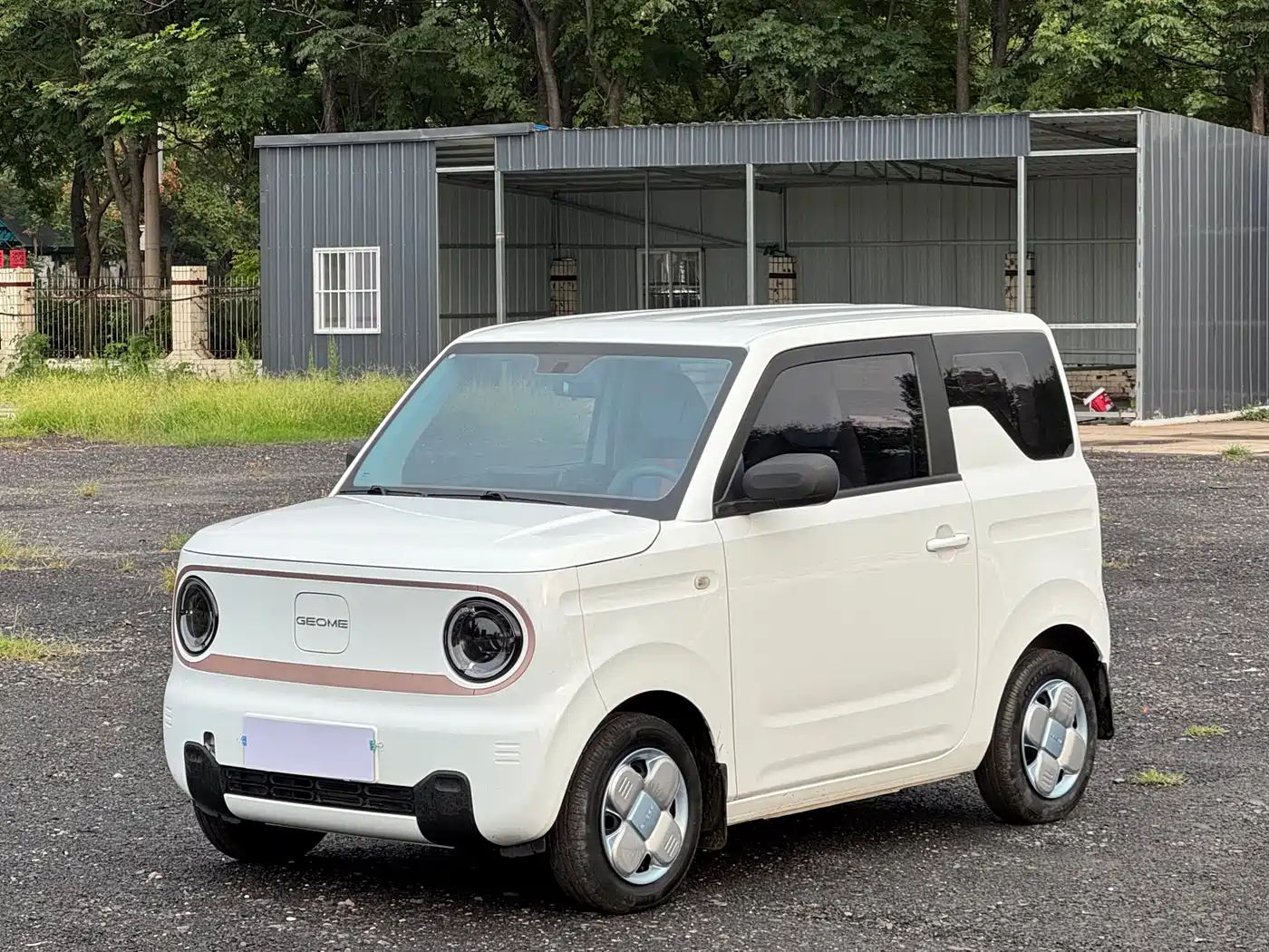 Geely Galaxy Panda 2024