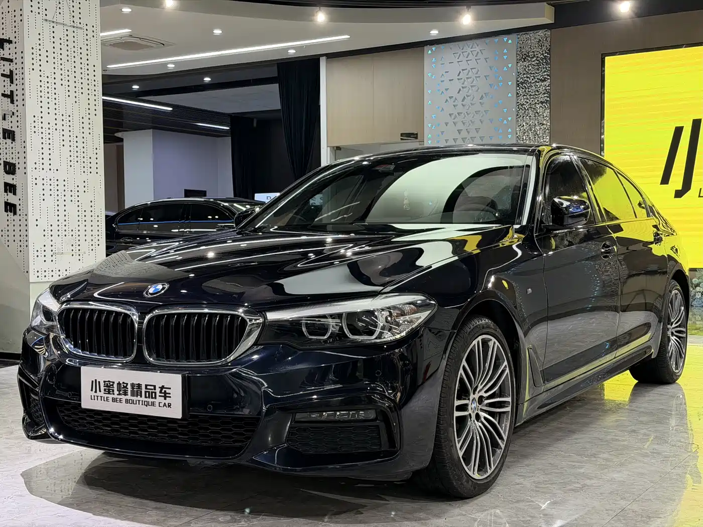 BMW 5 Series 2019 530Li Leading M Sport Package