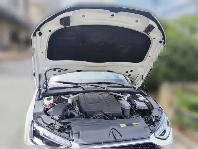 Audi A4L 2023 40 TFSI Luxury Sport — фото 3