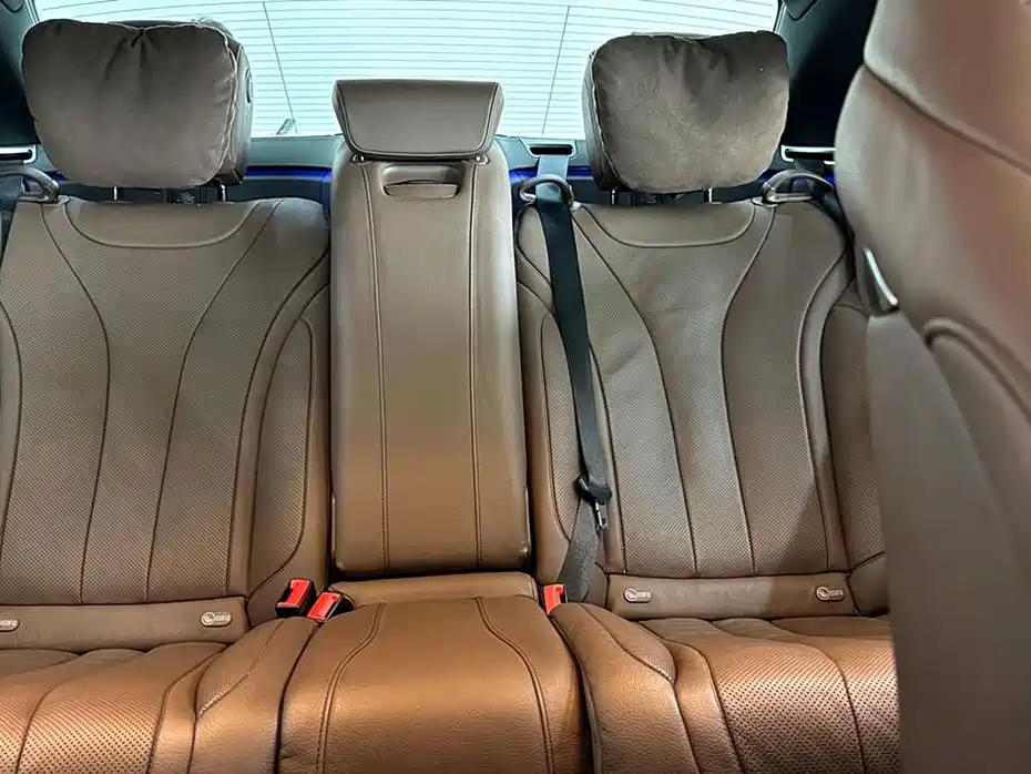 Mercedes-Benz S-Class 2020 S 350 L Premium Edition Collector's Version фото 14