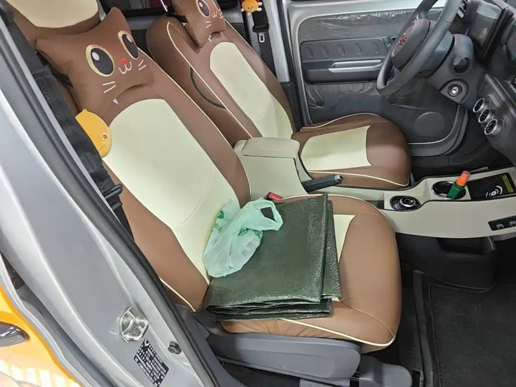 Wuling Motors Wuling Zhiguang NEV 2025 2025 Standard Version