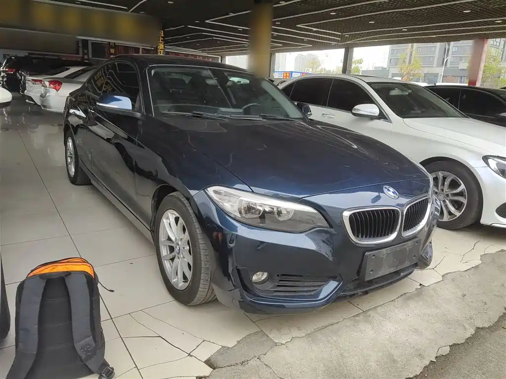 BMW 2 Series (Import) 2015 218i фото 22