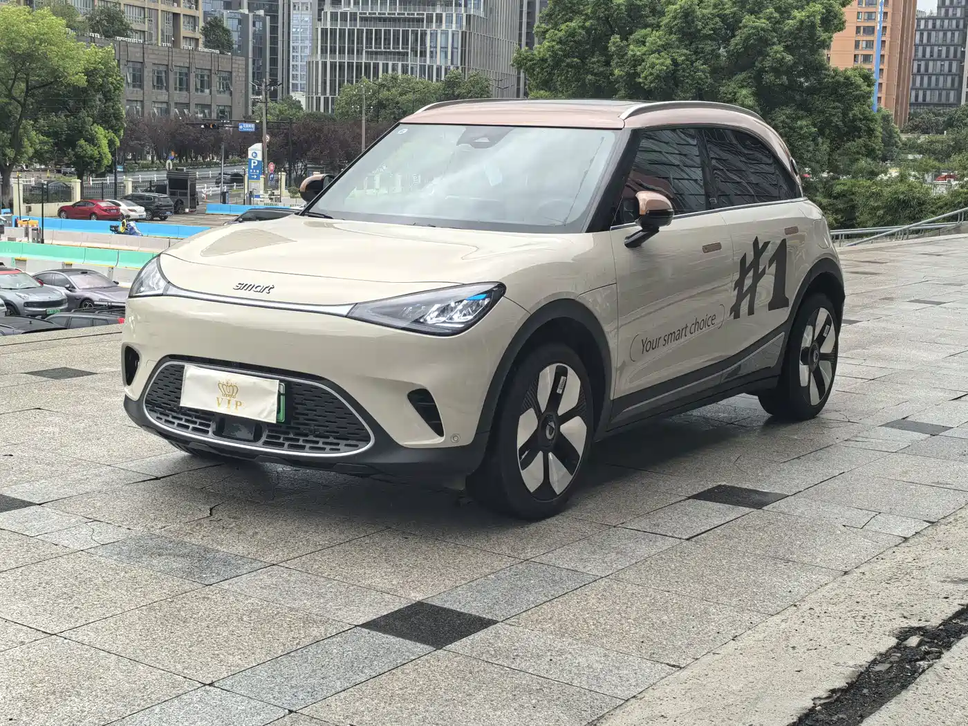 2025 smart Elf #1