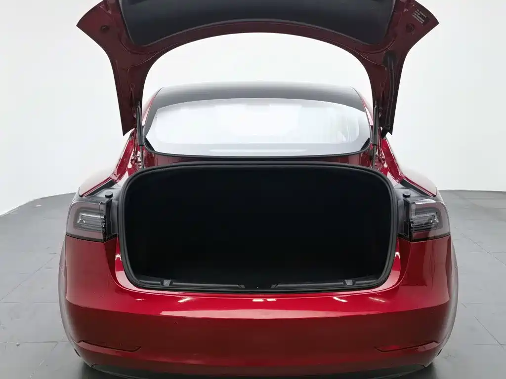 Фото 16 - Tesla Model 3