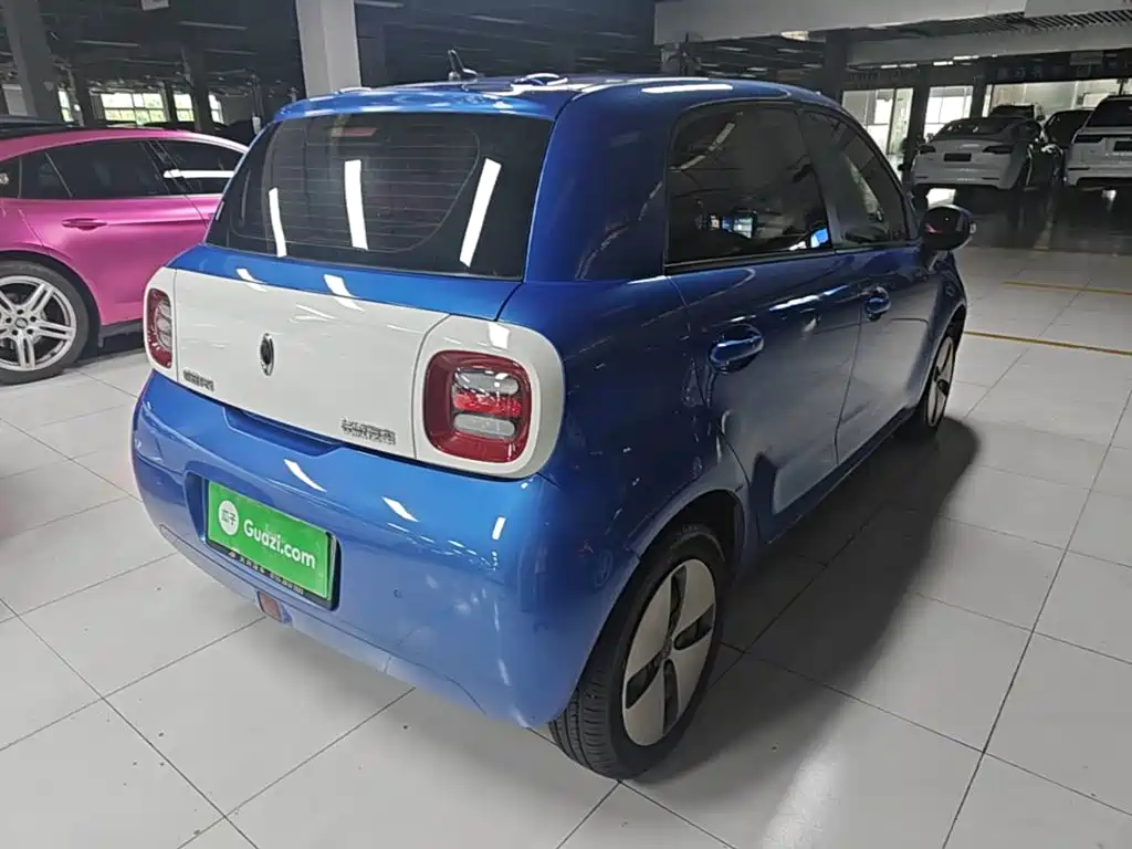 Ora Black Cat 2019 2019 Model 351km Smart Fun Edition
