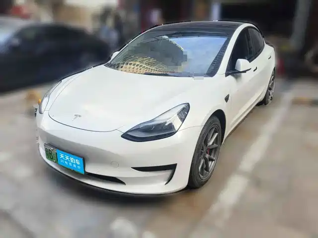 Tesla Model 3 2021