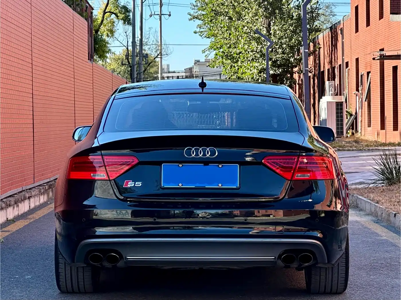 Audi S5 2012 S5 3.0T Sportback фото 5