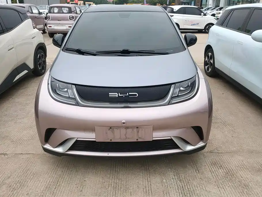 BYD Dolphin 2021 Model 405km Fashion Edition фото 2