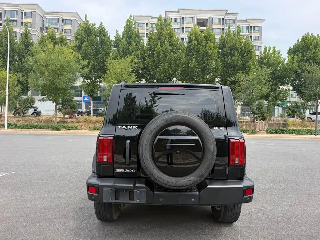 Tank 300 2021 2021 Off-road Version 2.0T Conqueror