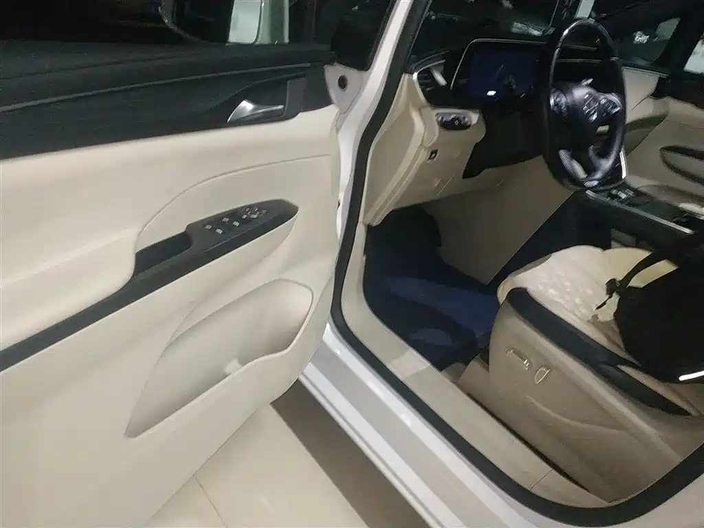 Buick GL8 2021 ES Landlord 653T Comfort фото 15