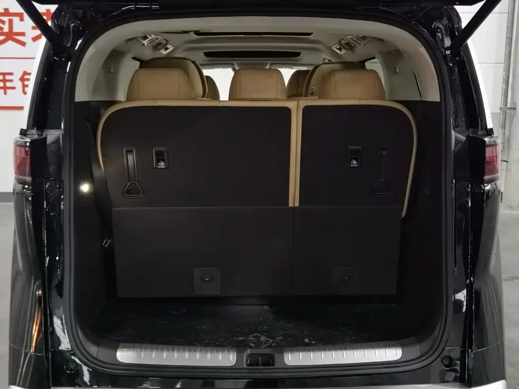 Denza D9 2025 2024 DM-i 1050 Premium