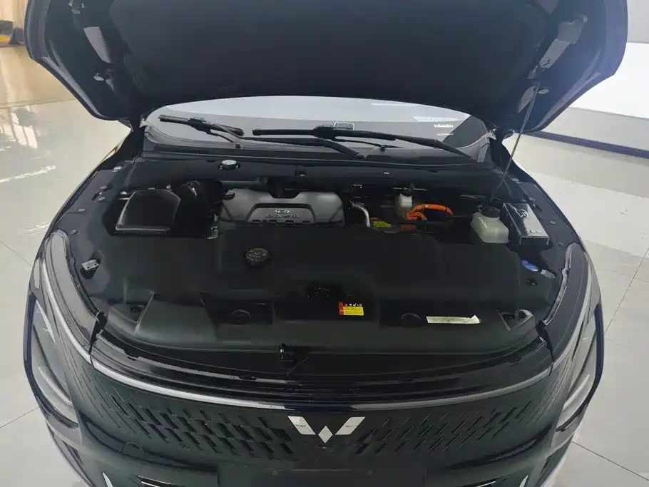 Wuling Motors Wuling Xingguang 2025 2024 Co-Creation Edition 150 Pilot