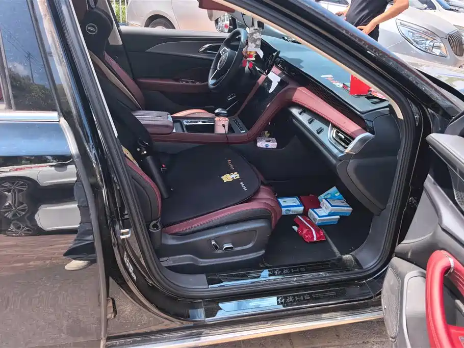 Hongqi H5 2024 2.0T Automatic Smart Connect Flag Smooth Edition фото 8