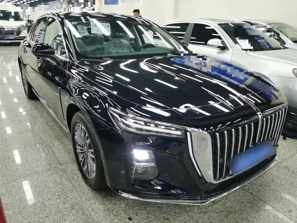 Hongqi H5 2025 1.5T DCT Flag Rhythm 500,000 Units Memorial Edition фото 22