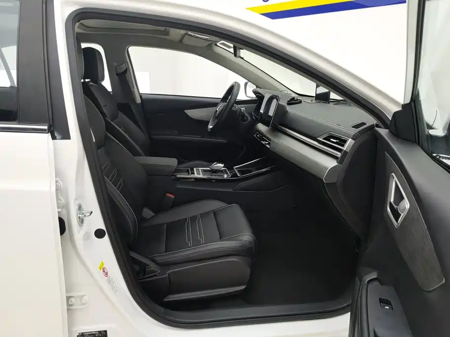 BYD Qin New Energy 2020 2019 Long Range Edition Premium