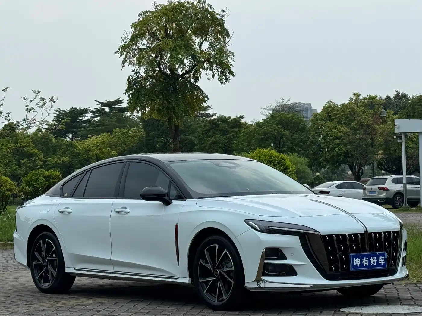 Hongqi H6 2025 2025 Model 2.0T Beauty Edition