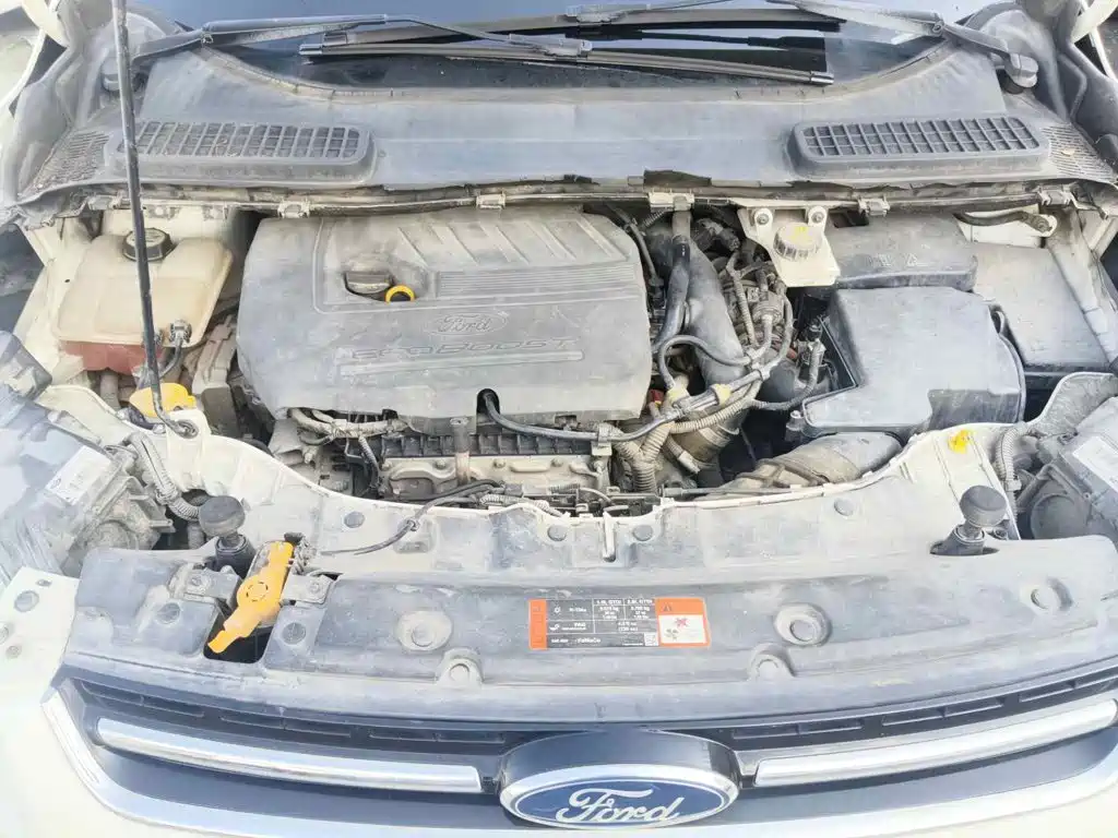 Фото 3 - Ford Kuga