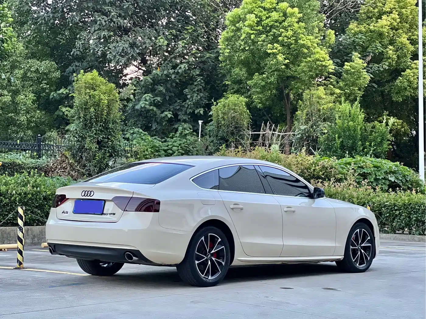 Фото 16 - Audi A5 (Import)