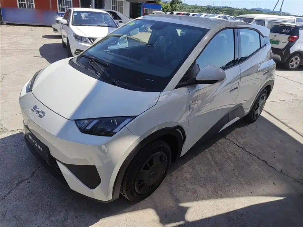 BYD Seagull 2025 Smart Drive Edition 305km Vitality Version