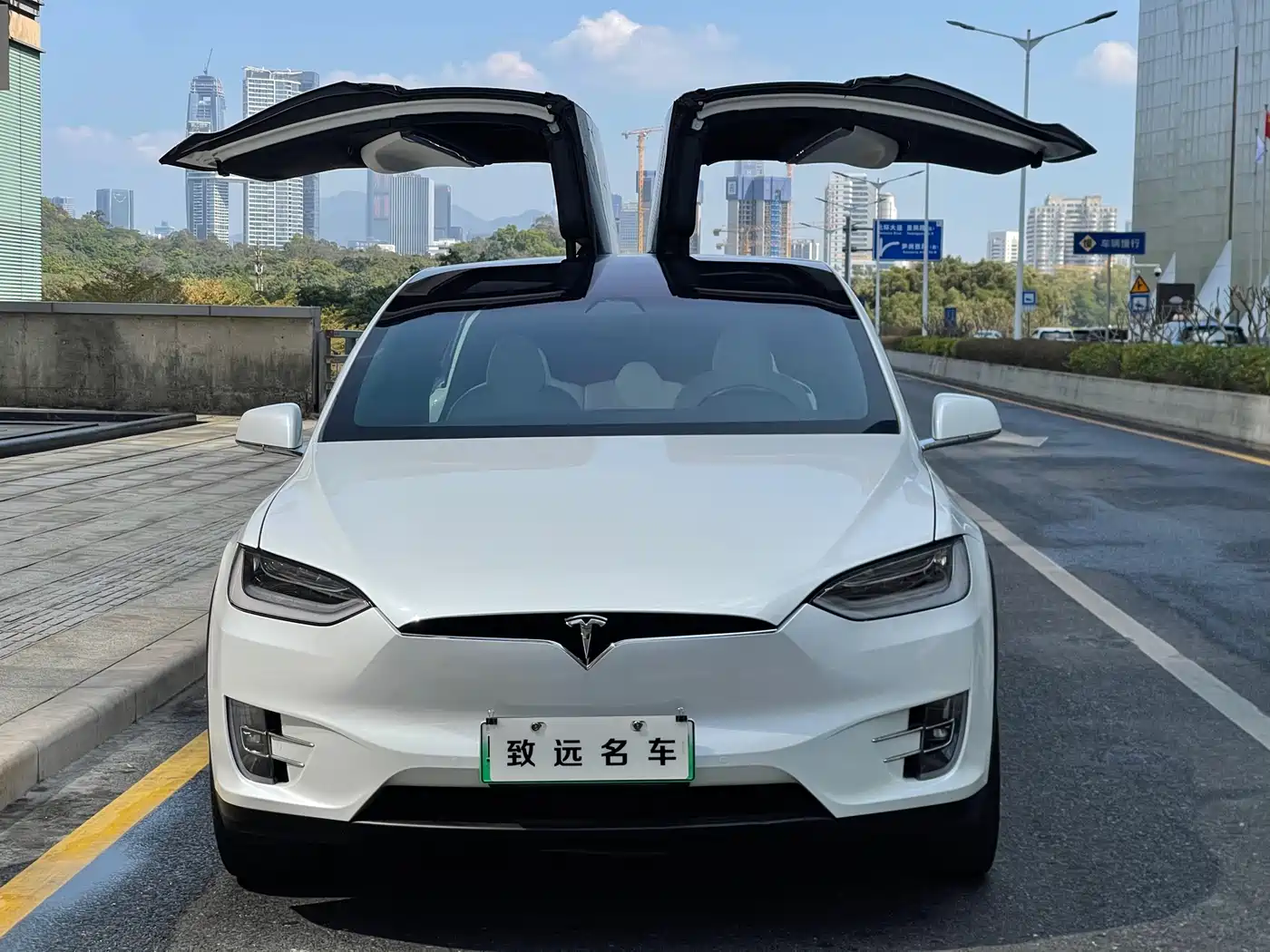 TESLA MODEL X