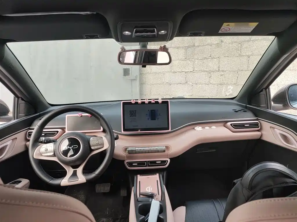 BYD Seagull 2024 Glory Edition 305km Freedom Edition фото 10