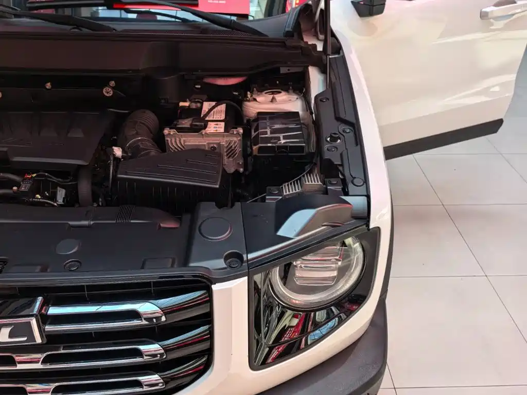 Haval Big Dog 2021 1.5T DCT 2WD Border Collie Edition