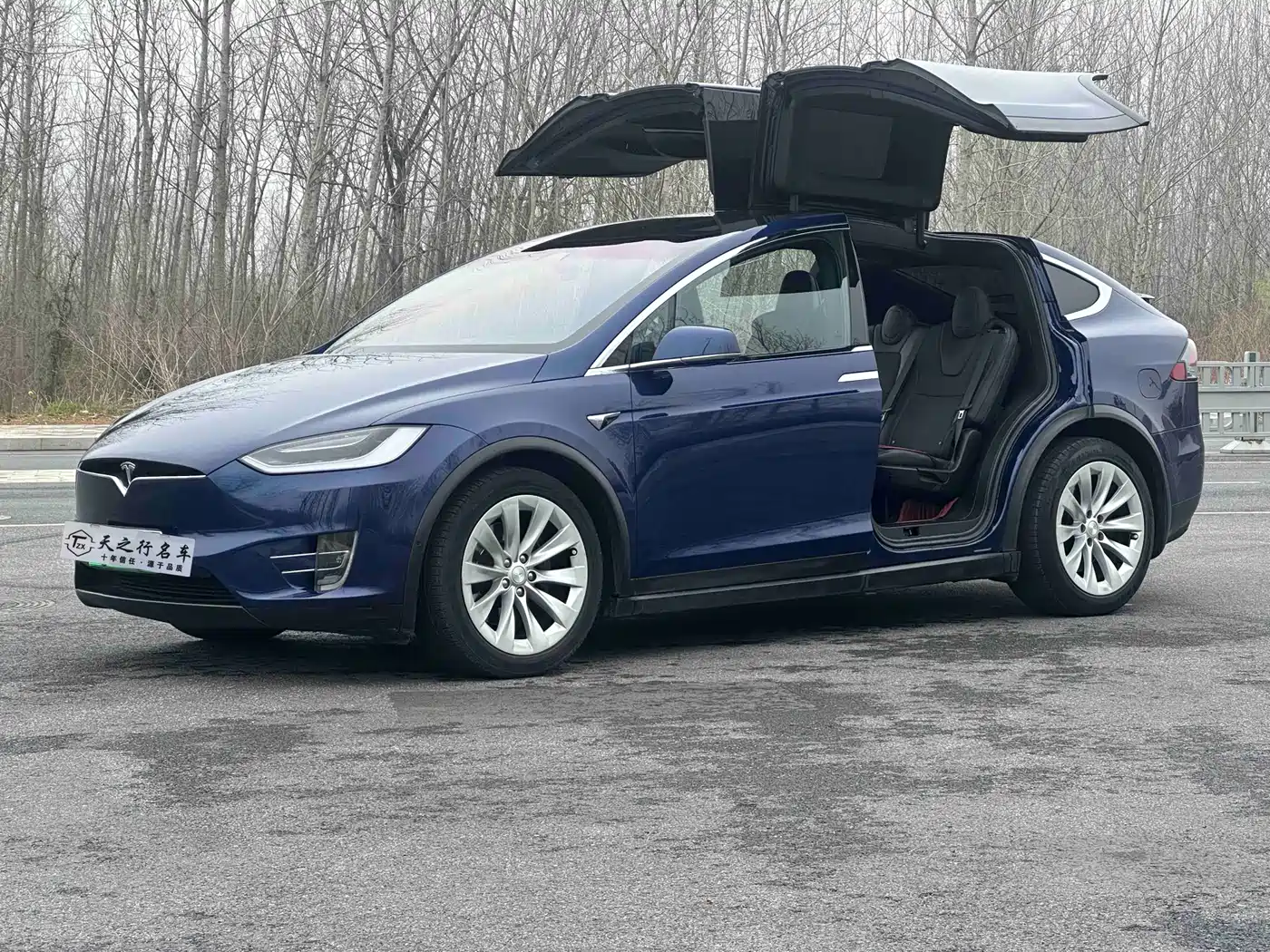 TESLA MODEL X