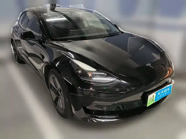 Tesla Model 3 2021 Standard Range Rear-Wheel Drive Upgrade 3D6 — фото 3