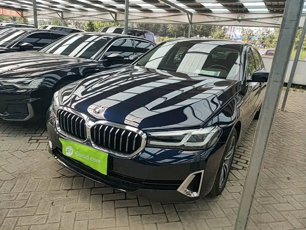 BMW 5 Series 2021 530Li Leading Luxury Package