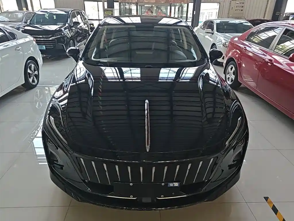 Hongqi E-QM5 2023 Facelift Basic Travel Edition фото 3
