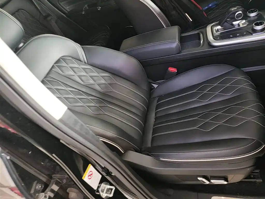 Tank 300 2024 Model 2.0T Challenger фото 25