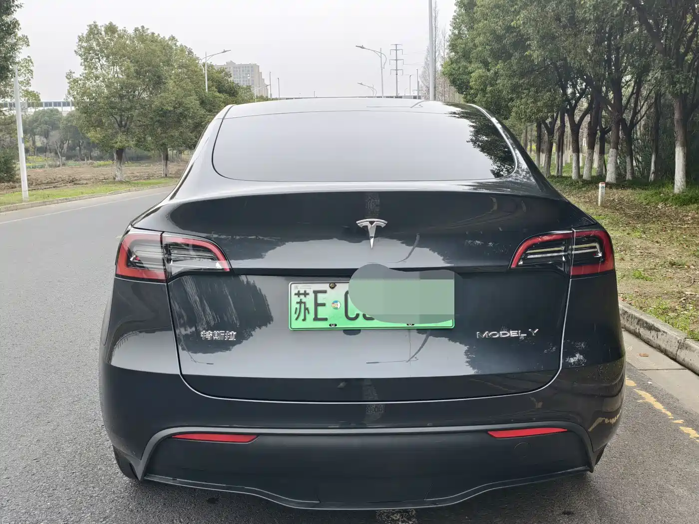 TESLA MODEL Y