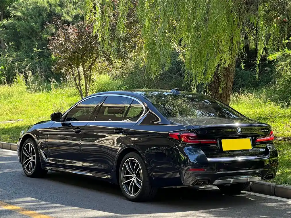 BMW 5 SERIES NEW ENERGY