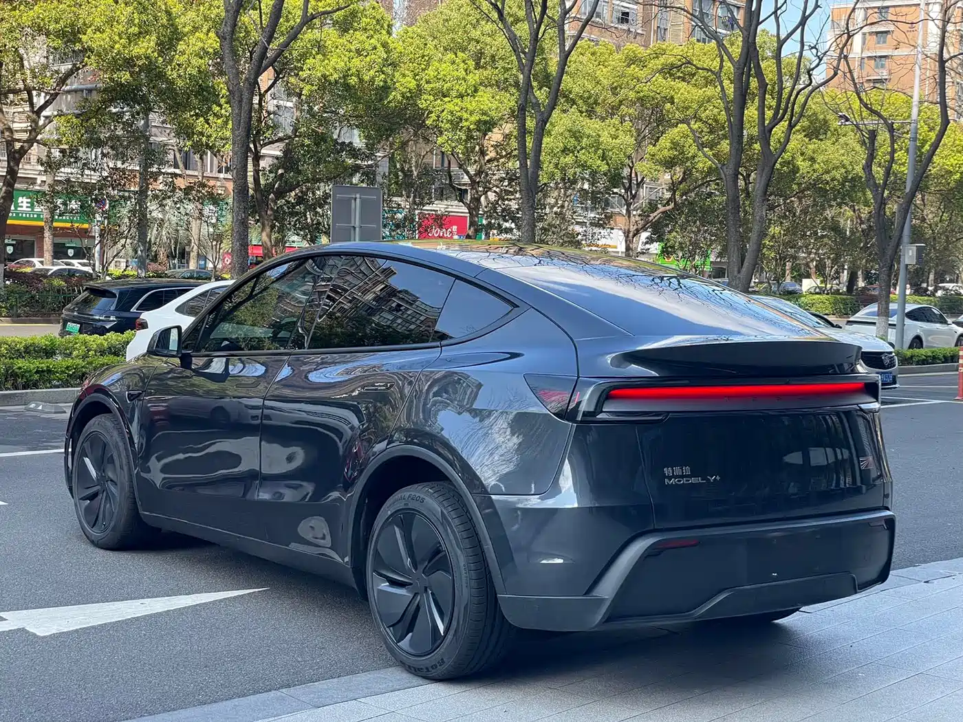 Tesla Model Y 2025 Model Long Range All-Wheel Drive Launch Edition фото 11