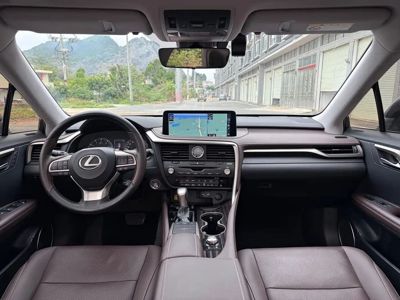 Lexus RX 2021 300 AWD Special Edition фото 5