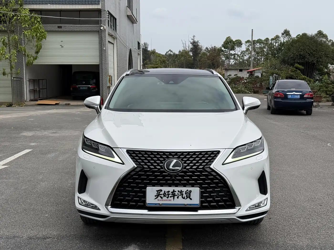 Lexus RX 2020 300 4WD Luxury Edition China VI